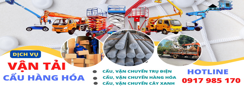 dịch vụ cẩu hàng hóa bình thuận